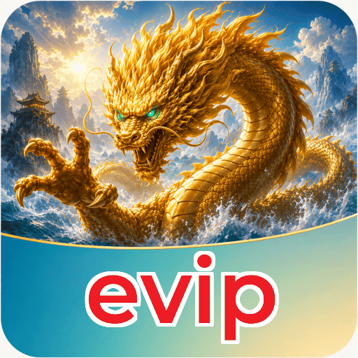 Tim Technical evip